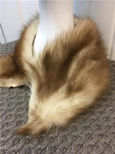 fur liquidation fur remnant 